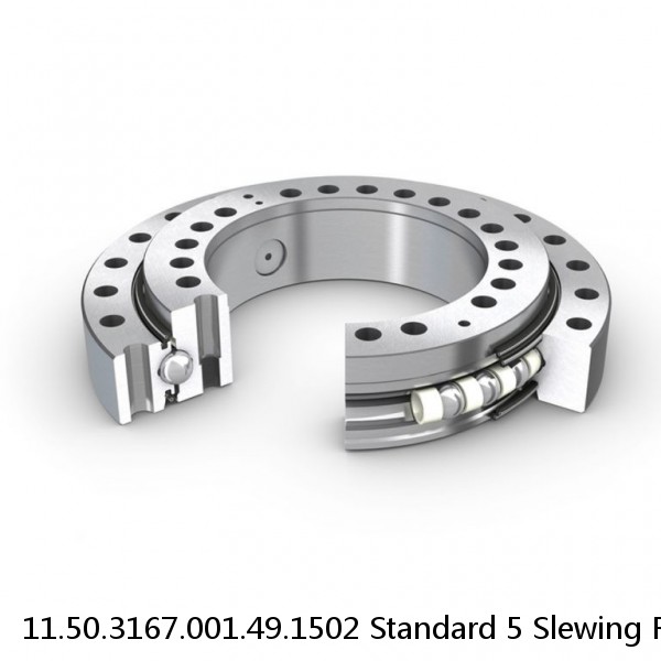 11.50.3167.001.49.1502 Standard 5 Slewing Ring Bearings #1 small image