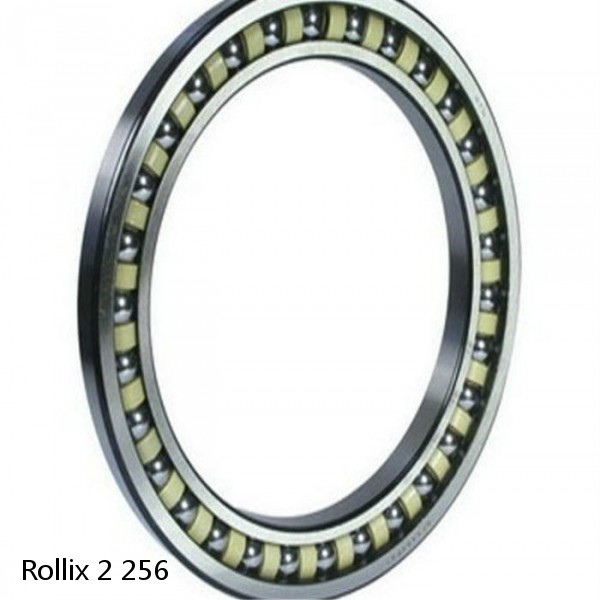 2 256 Rollix Slewing Ring Bearings #1 small image