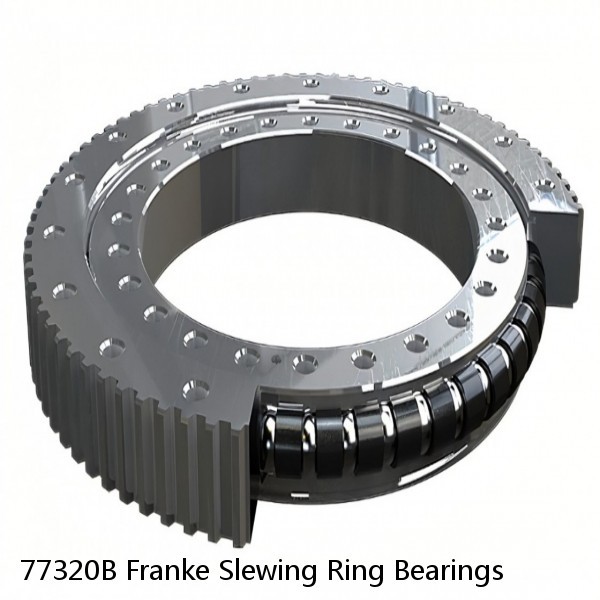 77320B Franke Slewing Ring Bearings #1 small image