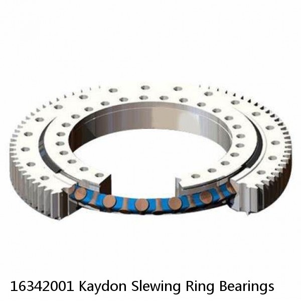 16342001 Kaydon Slewing Ring Bearings #1 small image