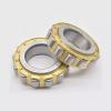 FAG NU224-E-TVP2-C3  Cylindrical Roller Bearings #1 small image