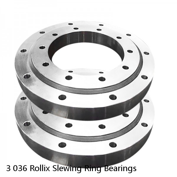 3 036 Rollix Slewing Ring Bearings #1 image