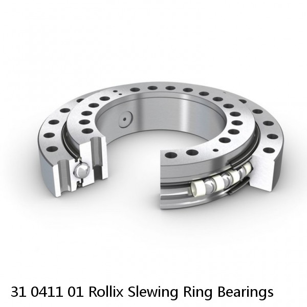 31 0411 01 Rollix Slewing Ring Bearings #1 image