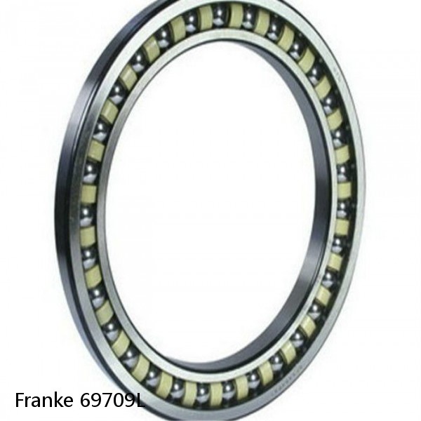 69709L Franke Slewing Ring Bearings #1 image