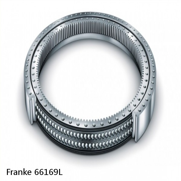 66169L Franke Slewing Ring Bearings #1 image