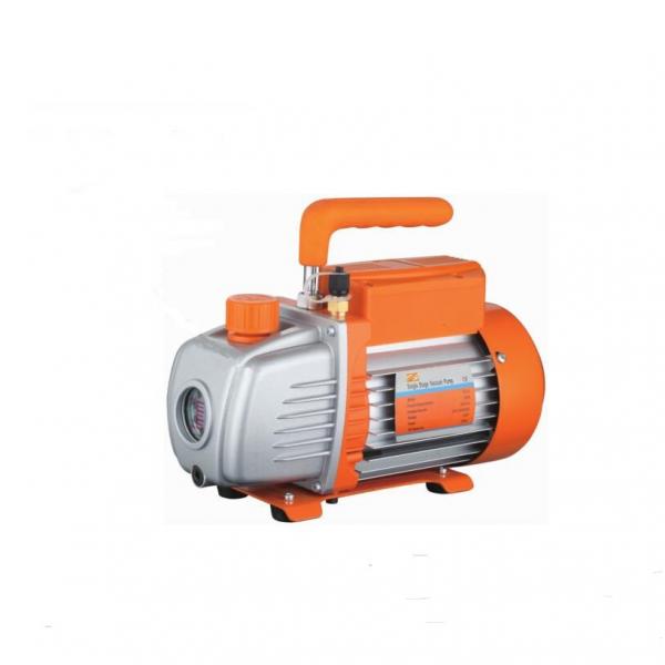 SUMITOMO QT43-31.5F-A High Pressure Gear Pump #1 image