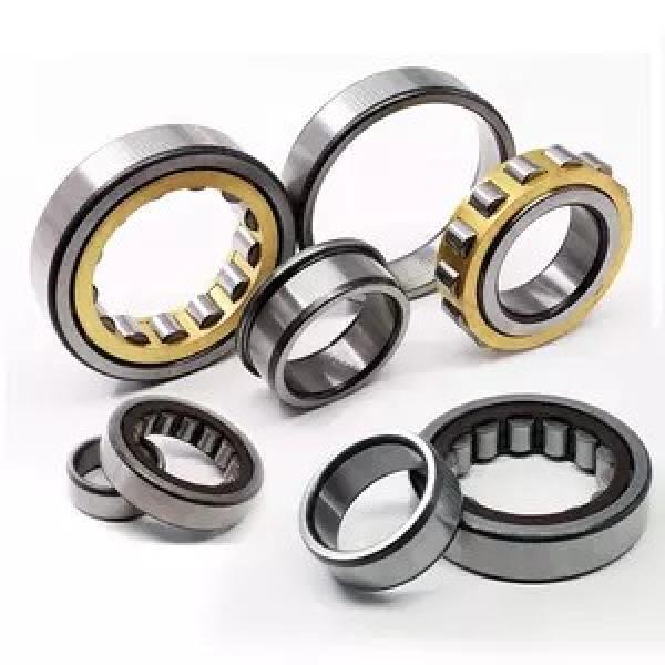 45 mm x 100 mm x 25 mm  SKF NJ 309 ECP  Cylindrical Roller Bearings #1 image
