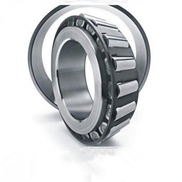 FAG NUP2318-E-M1-C3  Cylindrical Roller Bearings #1 image
